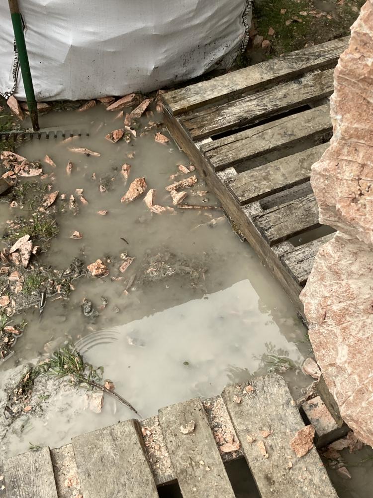 Day 6 - 